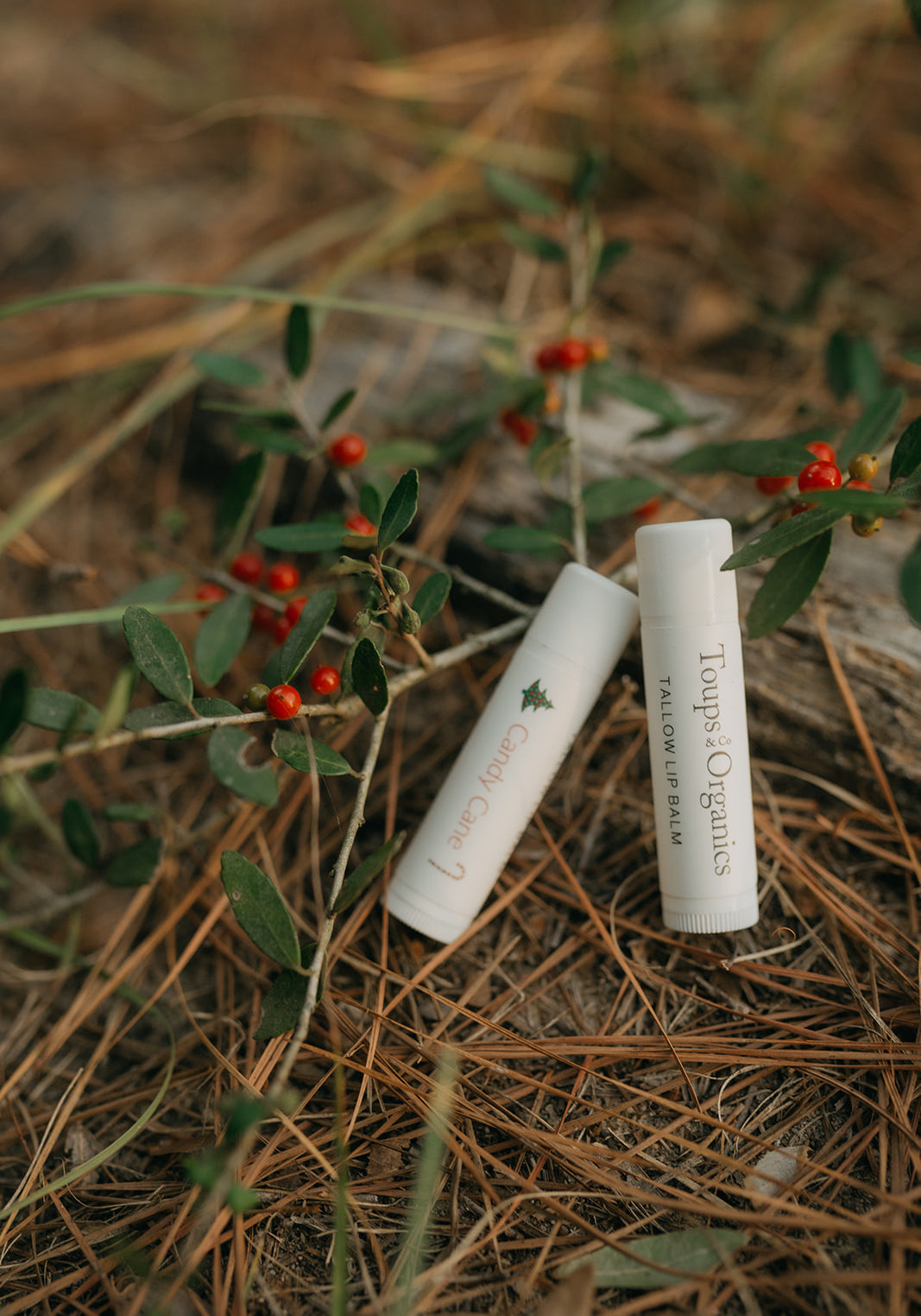 candy-cane-tallow-lip-balms-next-to-mistletoe