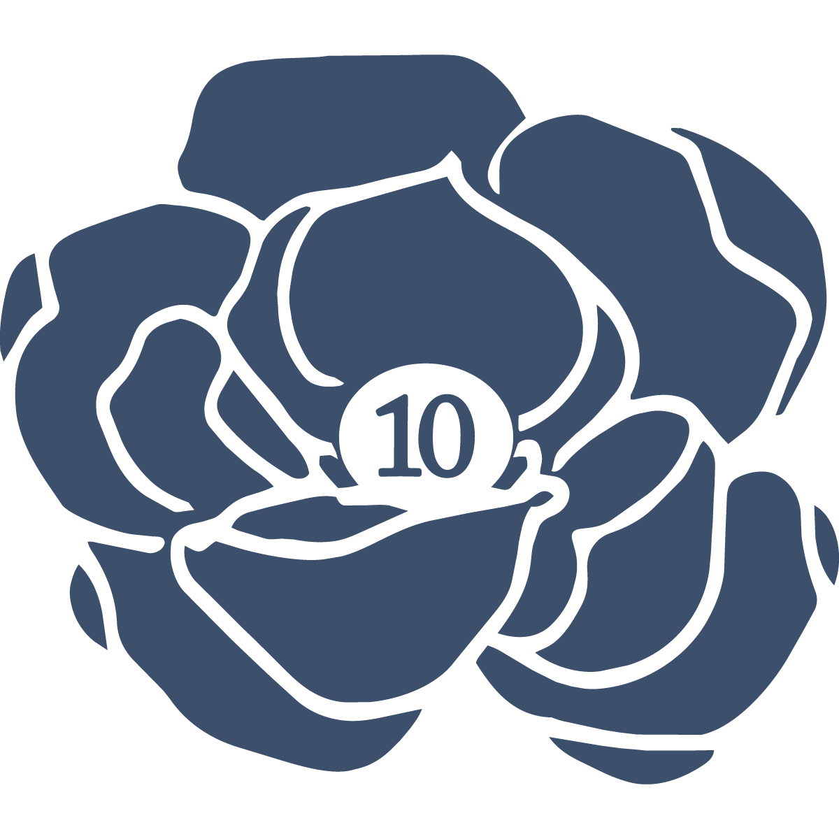Toups 10th Anniversary Logo